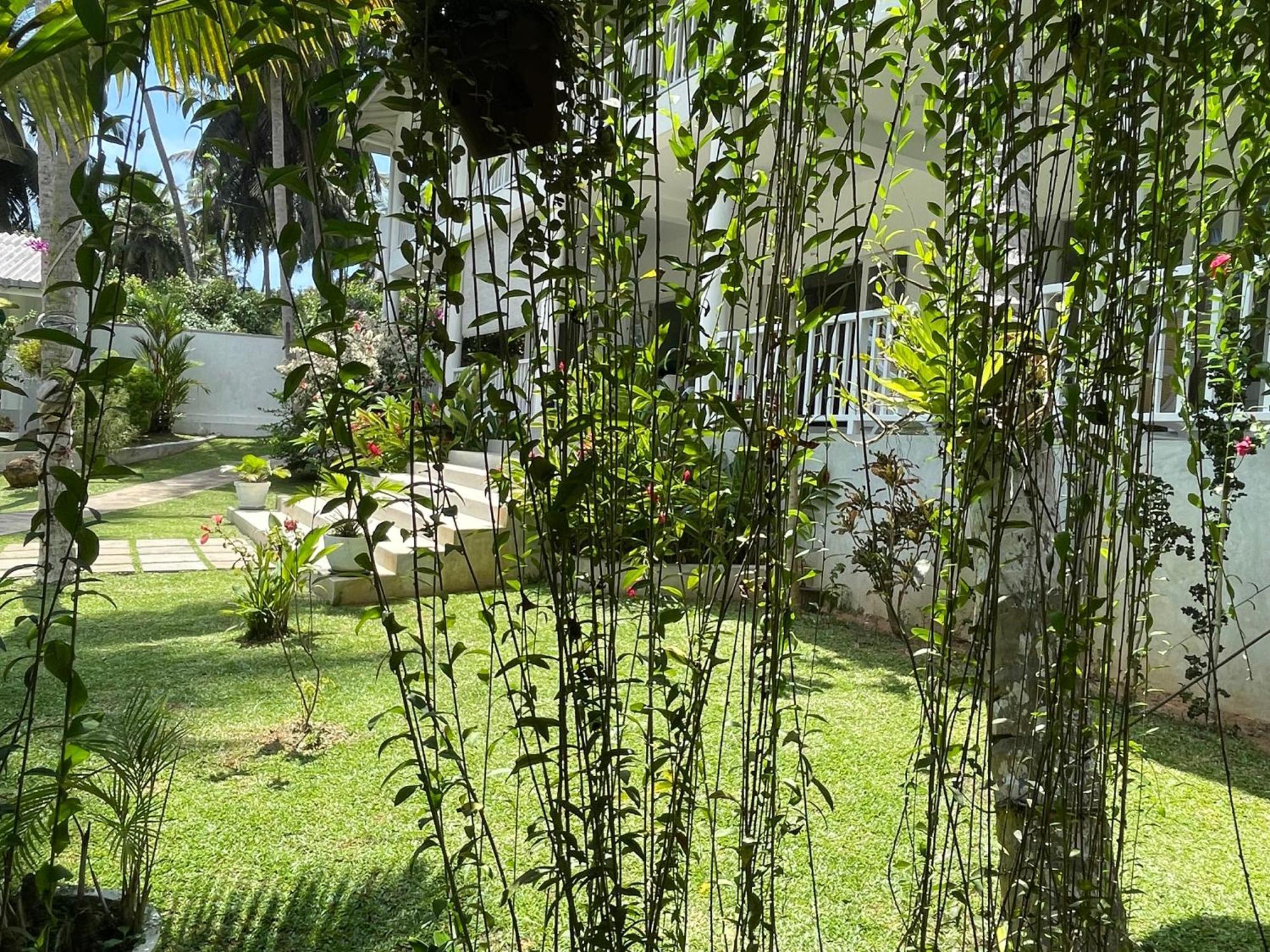 Plantation House Hikkaduwa Exterior foto