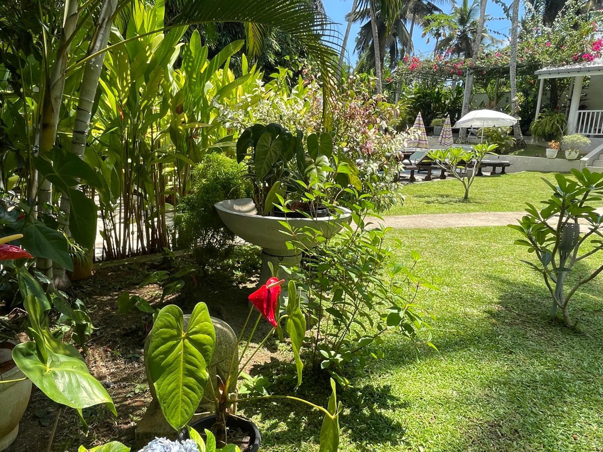 Plantation House Hikkaduwa Exterior foto